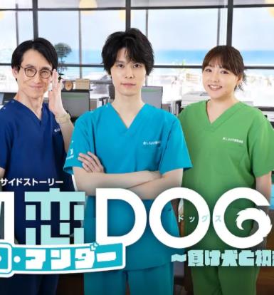 初恋UNDERDOGs～败犬与初恋～海报