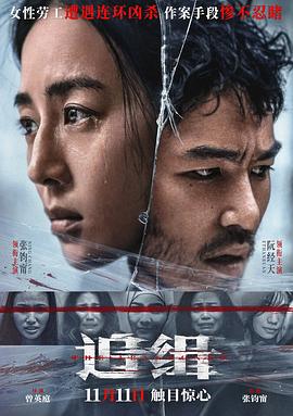 追缉 查無此心海报