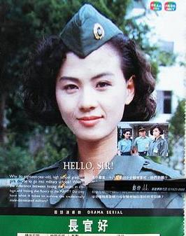长官好海报