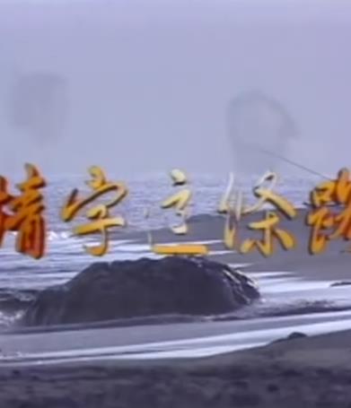 情字这条路海报