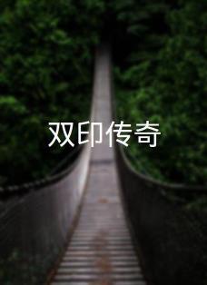 双印传奇海报