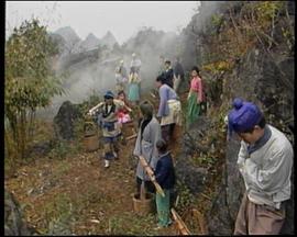 鱼公主红鲤公主海报