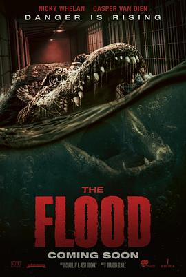 致命洪灾 The Flood海报