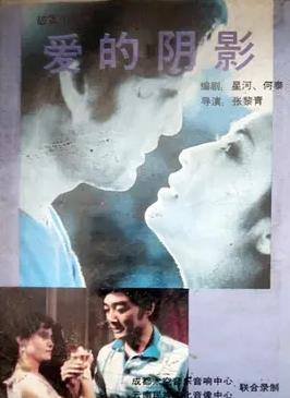 爱的阴影海报