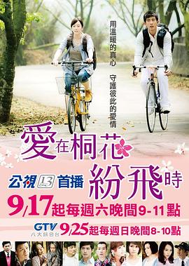 爱在桐花纷飞时海报