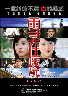 雪在烧2007海报