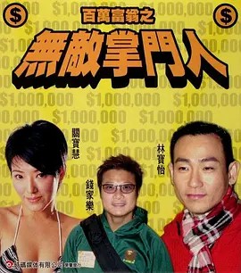 百万富翁之无敌掌门人海报