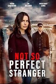 非完美陌生人海报