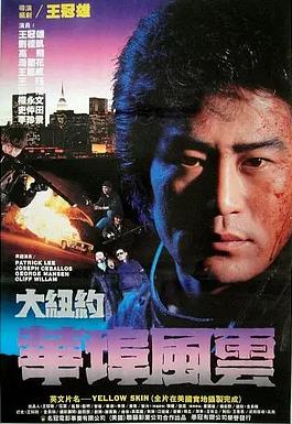 大纽约华埠风云海报