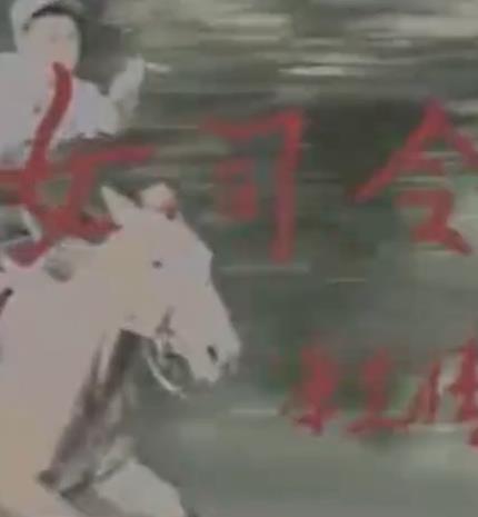 女司令海报
