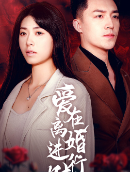 爱在离婚进行时 短剧版海报