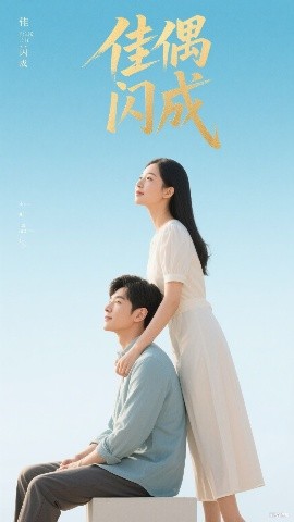 佳偶闪成  假婚真爱海报