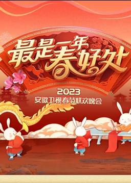 安徽春节联欢晚会海报