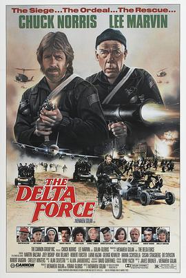 三角洲突击队国语海报
