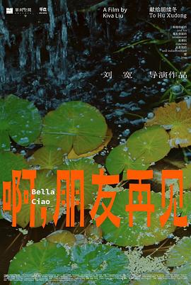 啊，朋友再见海报