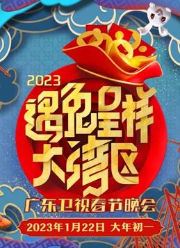 广东春节联欢晚会海报