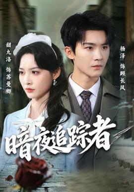 暗夜追踪者海报