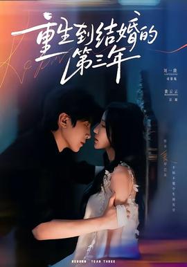 重生到结婚的第三年海报