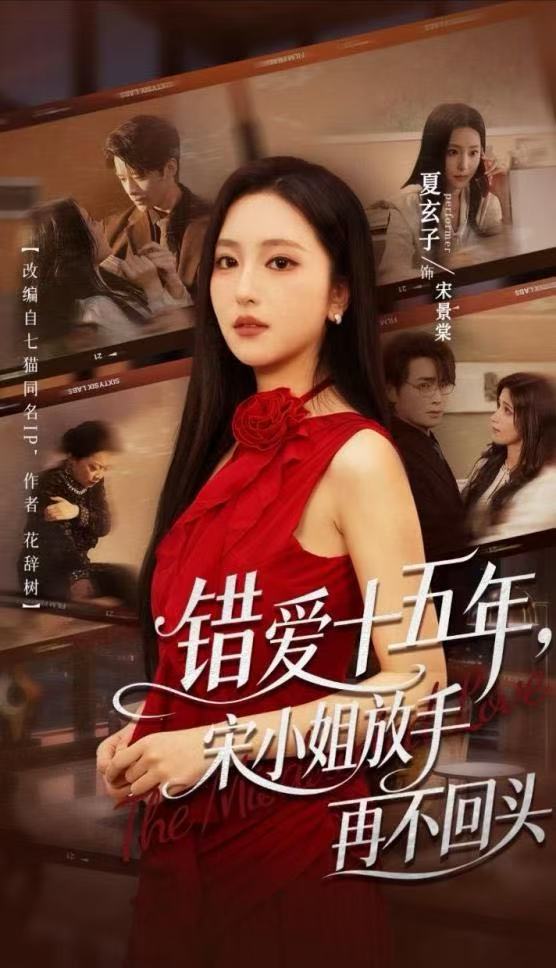 错爱十五年，宋小姐放手再不回头海报