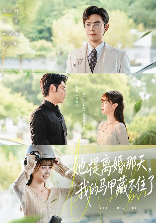 她提离婚那天，我的马甲藏不住了海报