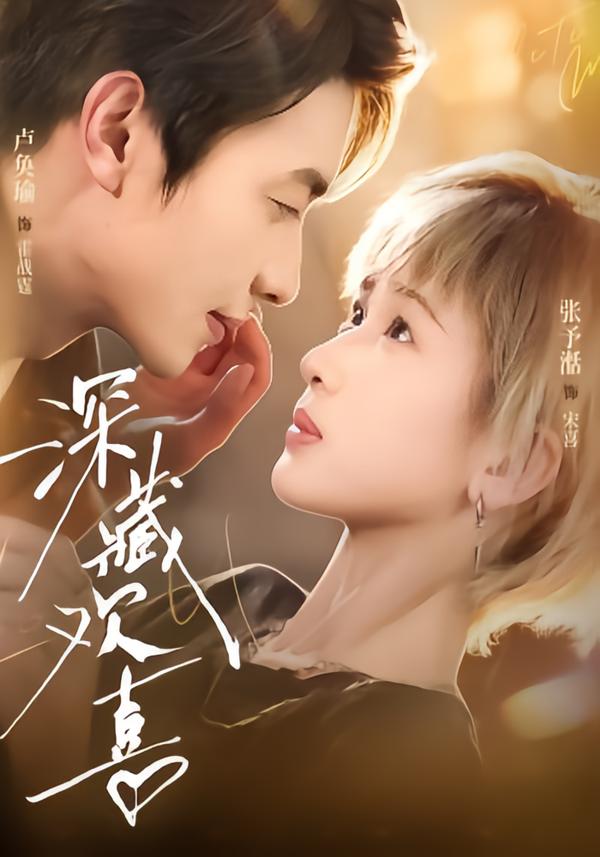 深藏欢喜海报