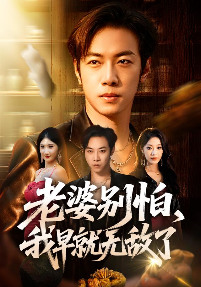 老婆别怕，我早就无敌了海报