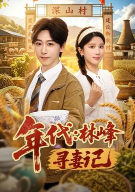 年代：林峰寻妻记海报