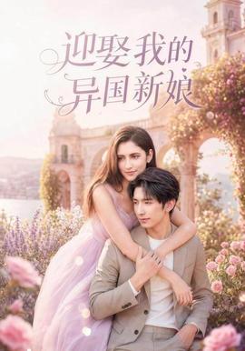 迎娶我的异国新娘海报
