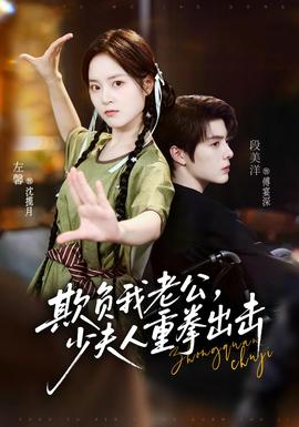 欺负我老公，少夫人重拳出击海报