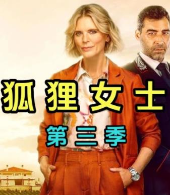 狐狸女士第三季海报